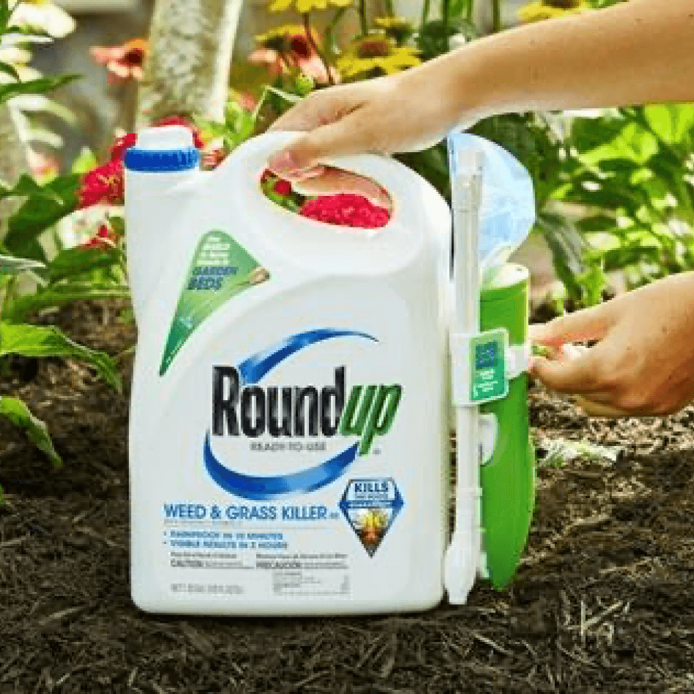 Roundup Weed Killer linked to Cancer